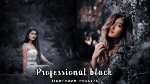 professional black presets 