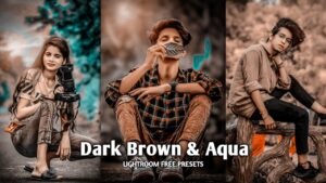 knowledge arrow aqua and brown 