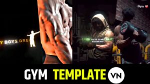 Top 5 Gym Vn Template Code Link 2024