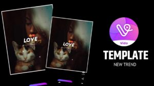 Mood Love Vido App Template