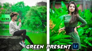 green presets