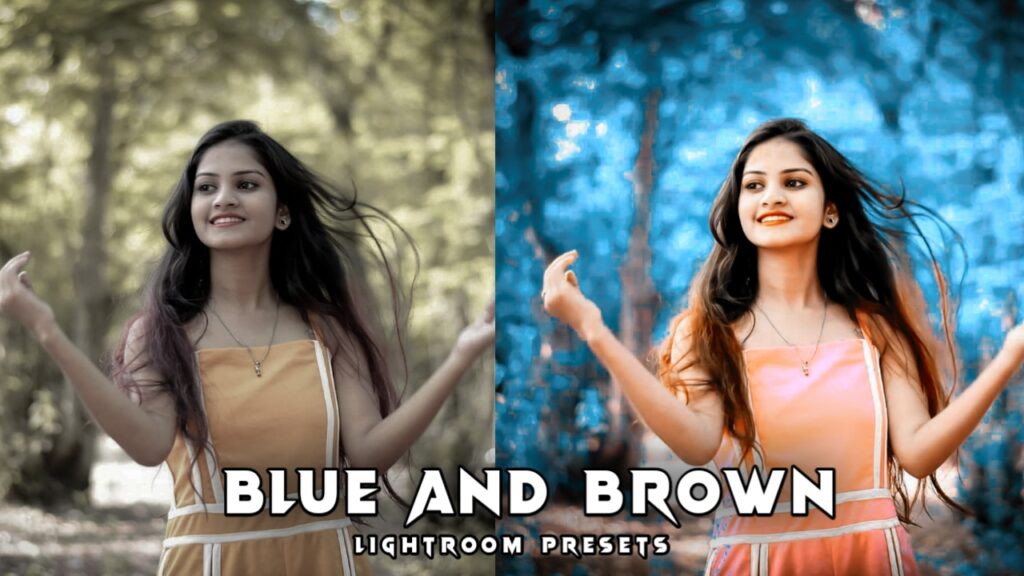 blue and brown presets