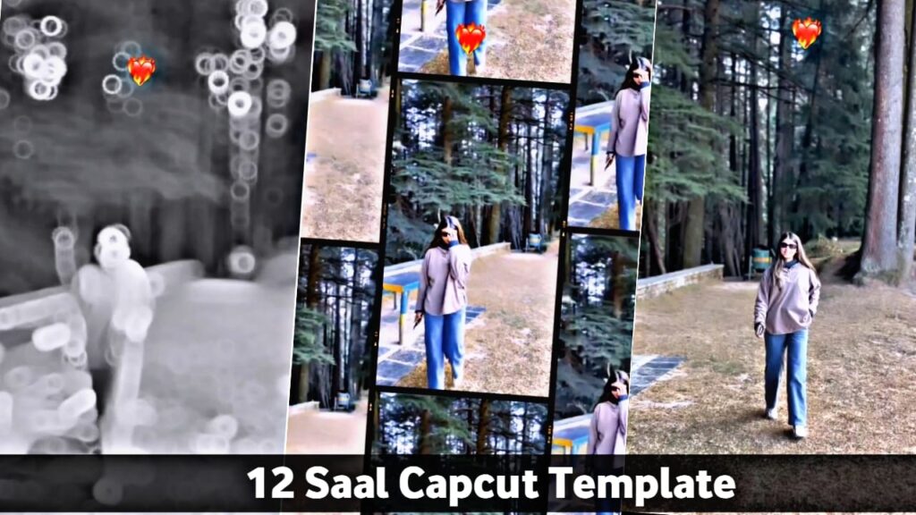 12 Saal Capcut Template Link 2024